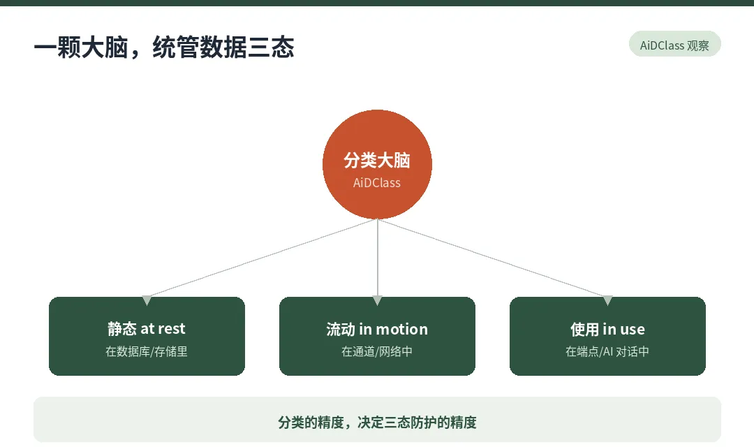 图 6　一颗会持续学习的分类大脑，统管数据三态：分类的精度，决定防护的精度
